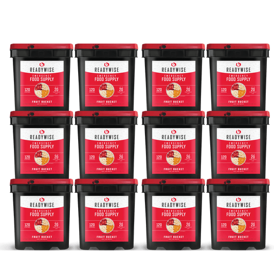1440 Serving Freeze Dried Fruit Bucket (12, 120 serving buckts)